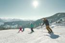 Holiday homeAustria - : Alpenchalets Reiteralm 4