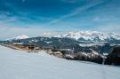 Holiday homeAustria - : Alpenchalets Reiteralm 4