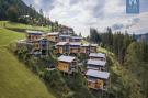 Holiday homeAustria - : Alpenchalets Reiteralm 5