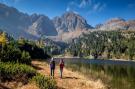 FerienhausÖsterreich - : Alpenchalets Reiteralm 5