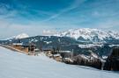 FerienhausÖsterreich - : Alpenchalets Reiteralm 6