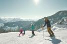 Holiday homeAustria - : Alpenchalets Reiteralm 8