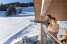 Holiday homeAustria - : Alpenchalets Reiteralm 10  [16] 