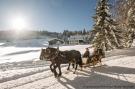 FerienhausÖsterreich - : Hideaway Dachstein West 14