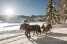 Holiday homeAustria - : Hideaway Dachstein West 15  [30] 