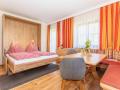 Holiday homeAustria - : 87281