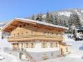 Holiday homeAustria - : 87281