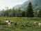 Holiday homeAustria - : 322657  [37] 