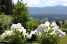 Holiday homeAustria - : House Dual2 4apartments 5adult  [14] 