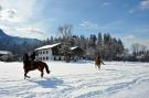 FerienhausÖsterreich - : Brixental Suites 1