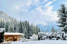 Holiday homeAustria - : Chalet Gamsglück in Waidring