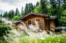 Holiday homeAustria - : Chalet Gamsglück in Waidring