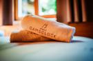 Holiday homeAustria - : Chalet Gamsglück in Waidring