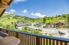 Holiday homeAustria - : Superior Chalet