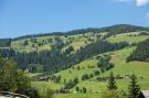 Holiday homeAustria - : Superior Chalet