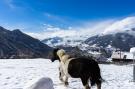 VakantiehuisOostenrijk - : Panoramablick Kaunergrat