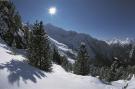 Holiday homeAustria - : Chalet im Brixental