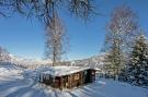 Holiday homeAustria - : Chalet Isabella im Brixental