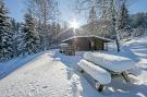 Holiday homeAustria - : Chalet Isabella im Brixental