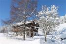 Holiday homeAustria - : Ferienhaus Dachsteinheim