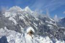 FerienhausÖsterreich - : Alpenrose