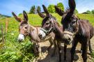 FerienhausÖsterreich - : Wohnung A