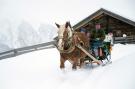 Holiday homeAustria - : Chalet Dolomitenblick