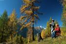 FerienhausÖsterreich - : Chalet Dolomitenblick