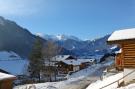 Holiday homeAustria - : Drive in chalet