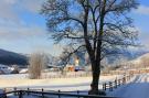 FerienhausÖsterreich - : Chalet Mariapfarr