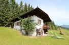 Holiday homeAustria - : Chalet Hogleit