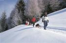 Holiday homeAustria - : Chalet Hogleit