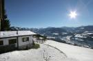 Holiday homeAustria - : Chalet Hogleit