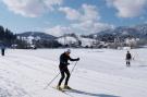 FerienhausÖsterreich - : Landhaus Josien