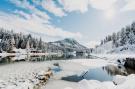 FerienhausÖsterreich - : Alpenpark Turrach 6