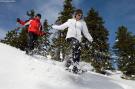 FerienhausÖsterreich - : Alpenpark Turrach Chalets 6