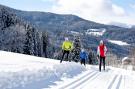 FerienhausÖsterreich - : Alpenpark Turrach Chalets 2