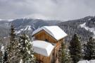 FerienhausÖsterreich - : Alpenpark Turrach Chalets 2