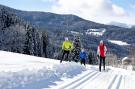 FerienhausÖsterreich - : Alpenpark Turrach  5