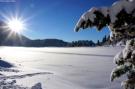 FerienhausÖsterreich - : Alpenpark Turrach  5