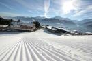 Holiday homeAustria - : Panorama Chalet 5