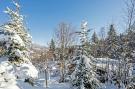 Holiday homeAustria - : Chalet Yosi im Brixental