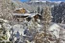 Holiday homeAustria - : Panorama Chalet TOP 10