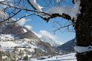 FerienhausÖsterreich - : Mountain Lodge Brand