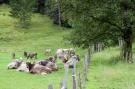 FerienhausÖsterreich - : Brunnkopf