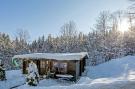 Holiday homeAustria - : Chalets im Brixental V