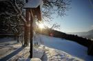 FerienhausÖsterreich - : Chalets im Brixental V