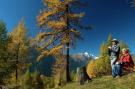 Holiday homeAustria - : Appartement Sonnenalp