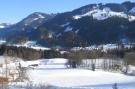 Holiday homeAustria - : Chalet Niederndorferberg