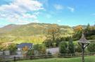 Holiday homeAustria - : Chalet Niederndorferberg